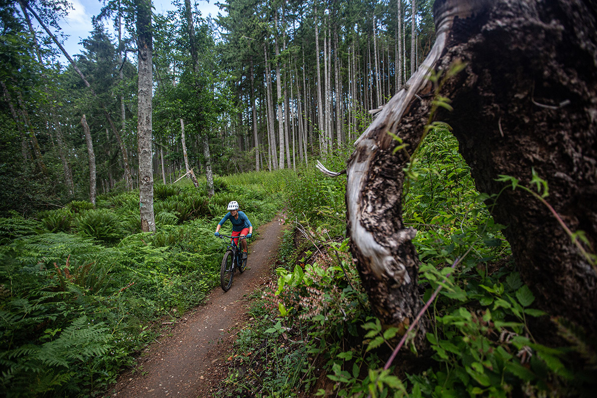 Best Trail Bikes (rider on Singletrack)