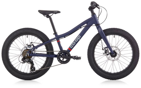 Co-op Cycles REV 20 kids bike