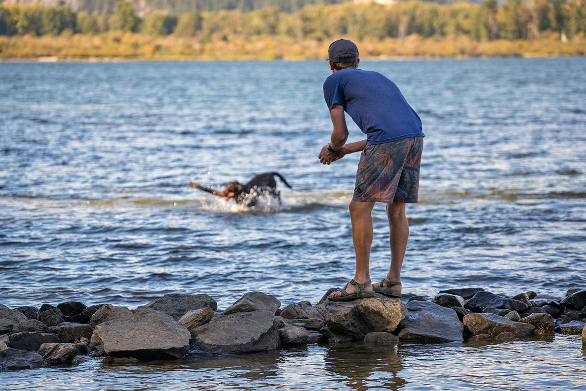 Hiking sandals (playing with dog in water)