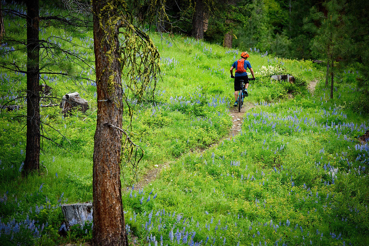 Mountain bike under $1,500 (riding through the forest)