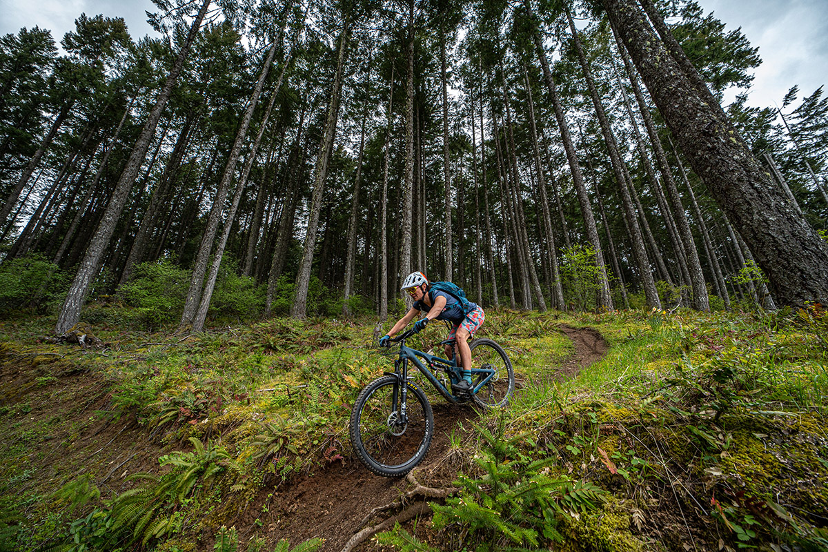 Mountain bikes under %241%2C500 (descending)