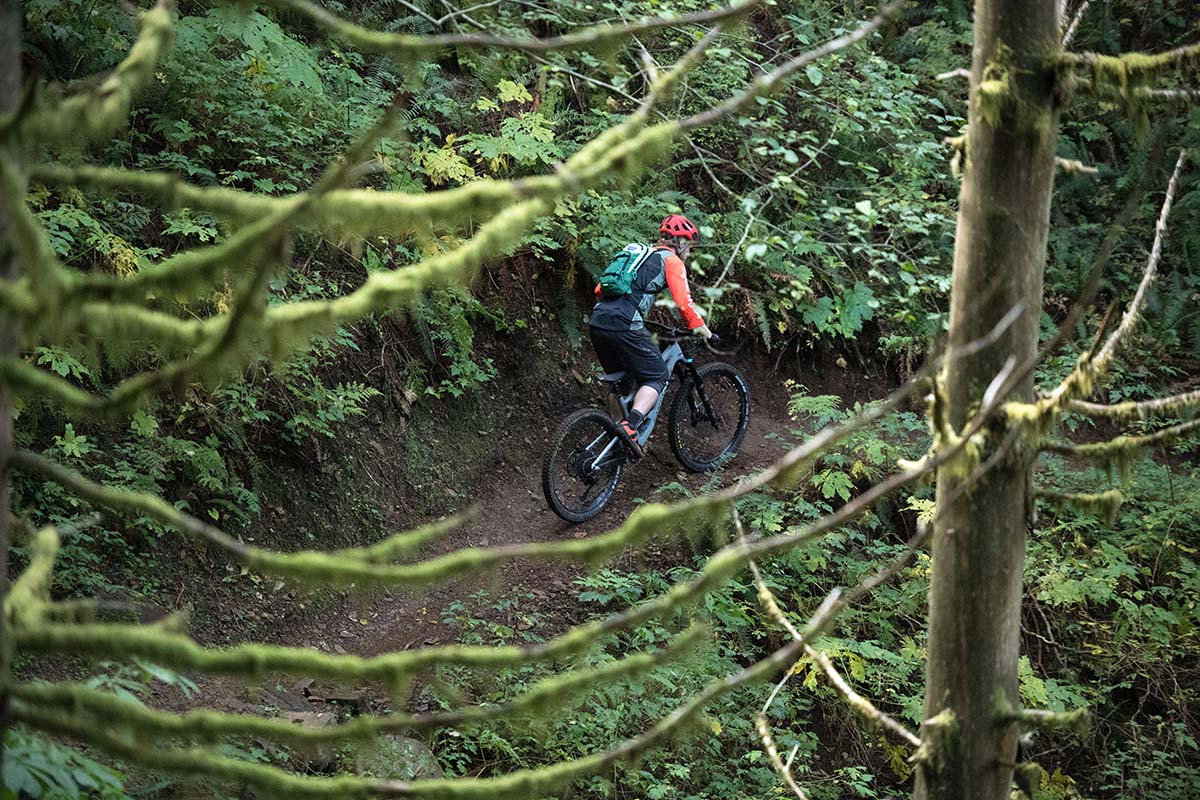 Santa Cruz Bronson (trees uphill)