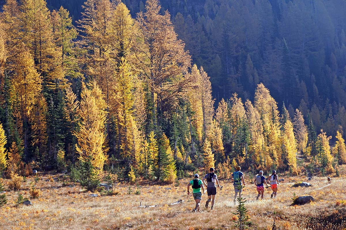 Trail running in fall colors