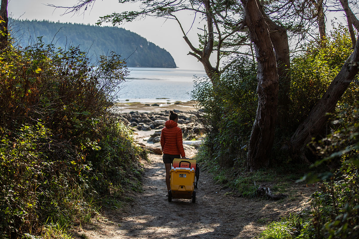 Wheeled cooler (wheeling RovR RollR to beach)